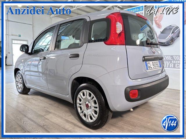 FIAT Panda 1.0 FireFly Hybrid 70 Cv