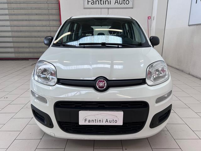 FIAT Panda 1.2 BENZ NEOPATENTATI GARANZIA 12 MESI