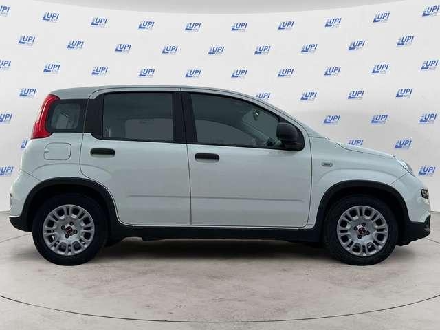 Fiat Panda 1.0 firefly hybrid s&s 70cv 5p.ti