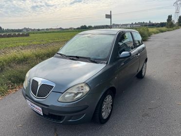 Lancia Ypsilon adatta a neopatentati