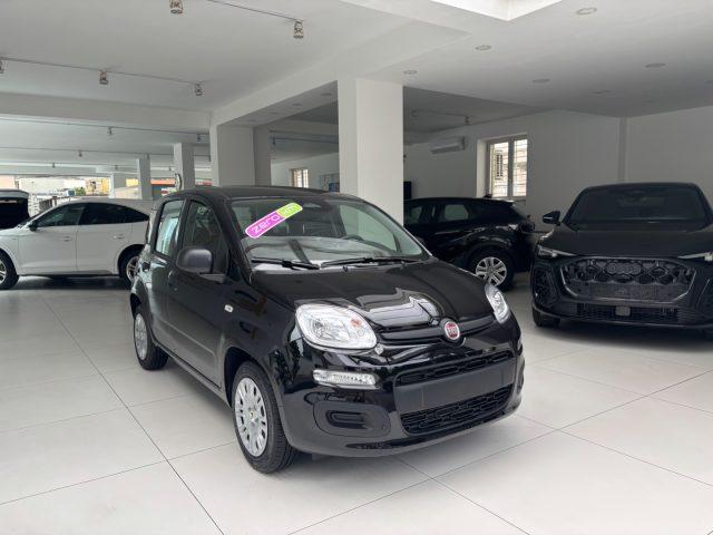 FIAT Panda 1.0 FireFly S&S Hybrid da ?139,00 mensili