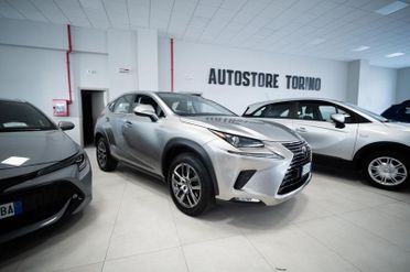 Lexus NX 300h 2.5 Premium 4WD CVT