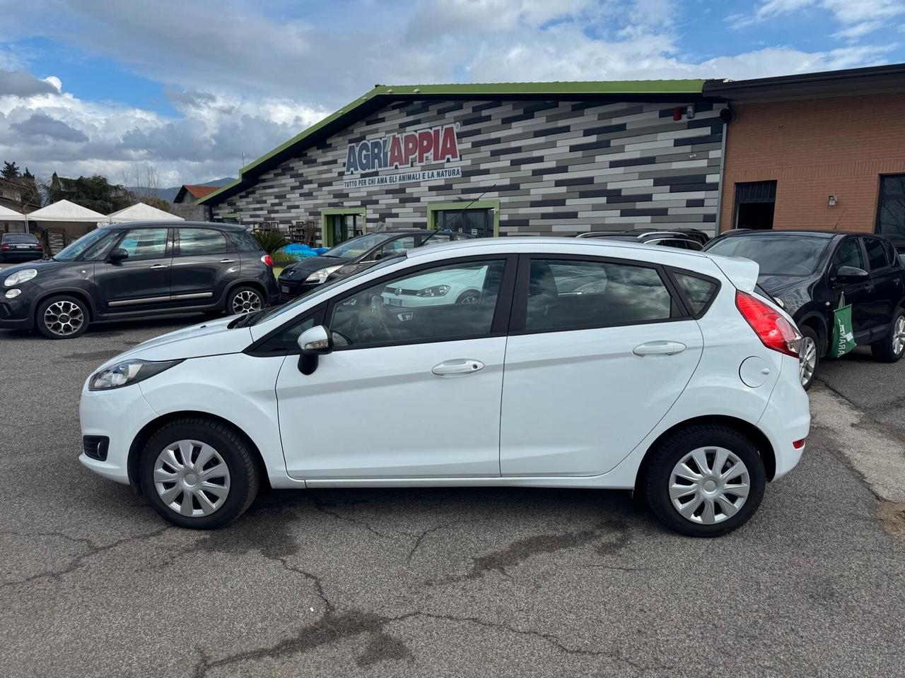 Ford Fiesta 1. GPL 95CV 5 PORTE 2016