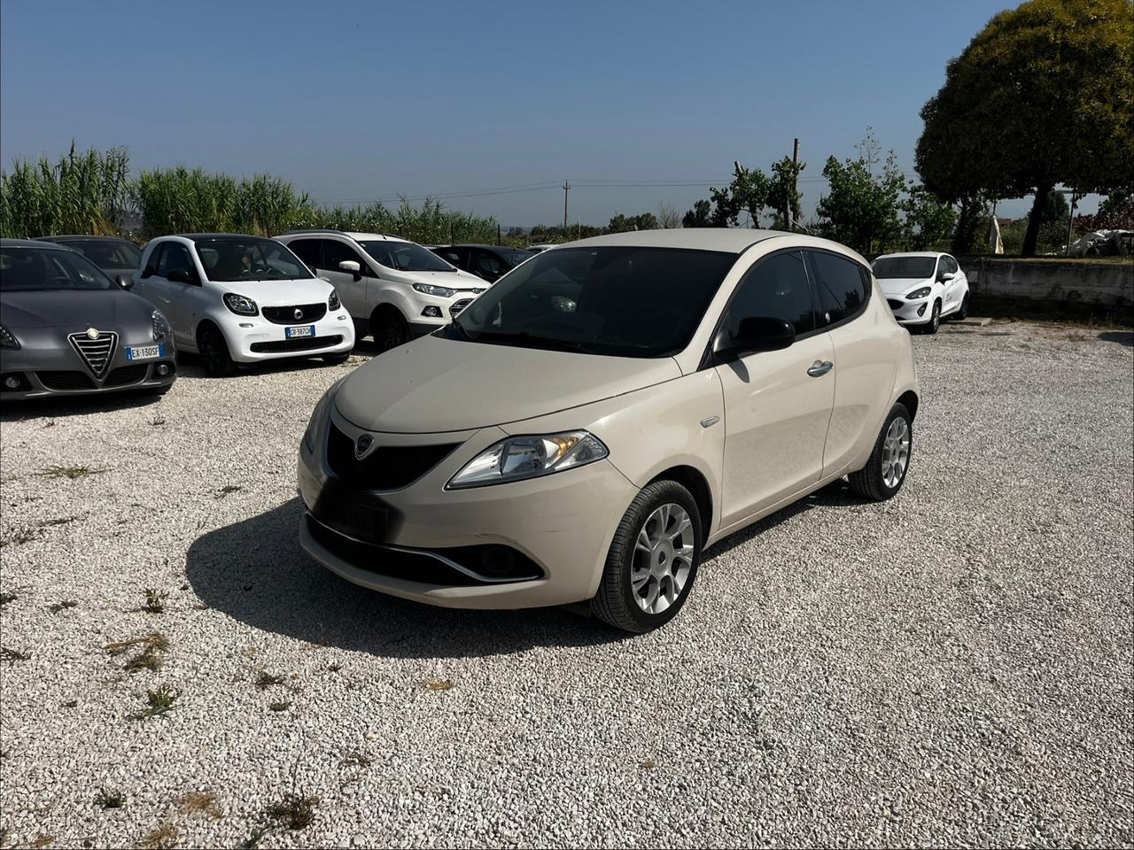 Lancia Ypsilon 1.3 MJT 16V 95 CV 5 porte S&S Gold