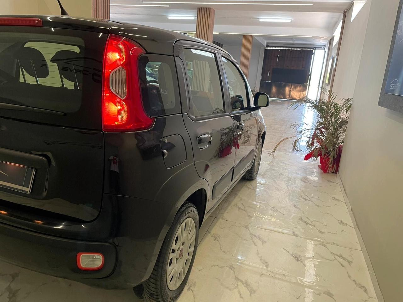 Fiat Panda Fiat panda 1.2cc 69cv Lounge