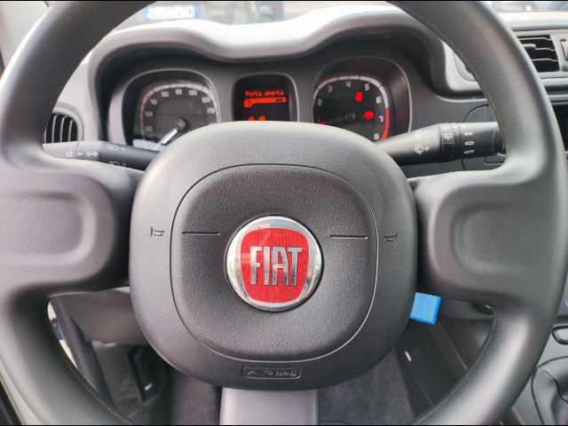 FIAT Panda 1.0 firefly hybrid s&s 70cv