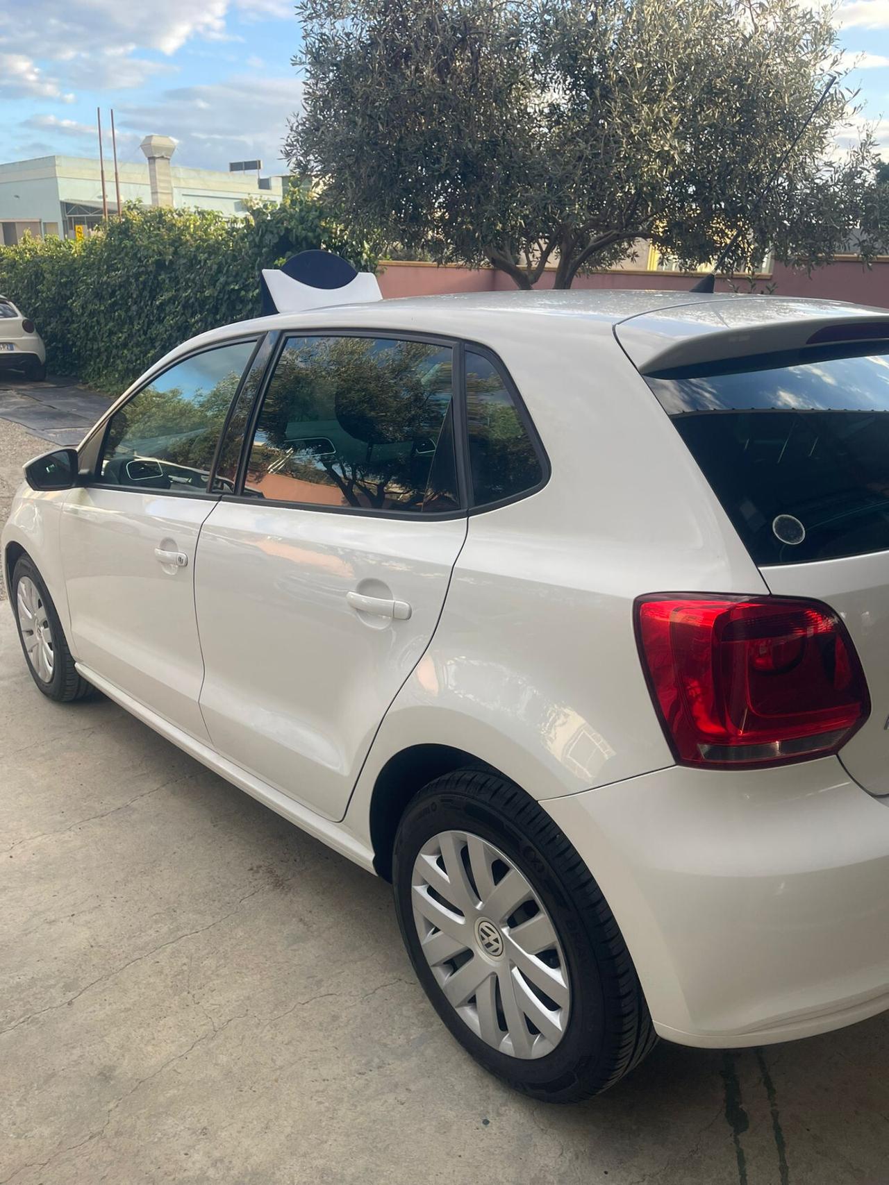 Volkswagen Polo 1.6 TDI DPF 5 porte Comf. BlueMotion Technology