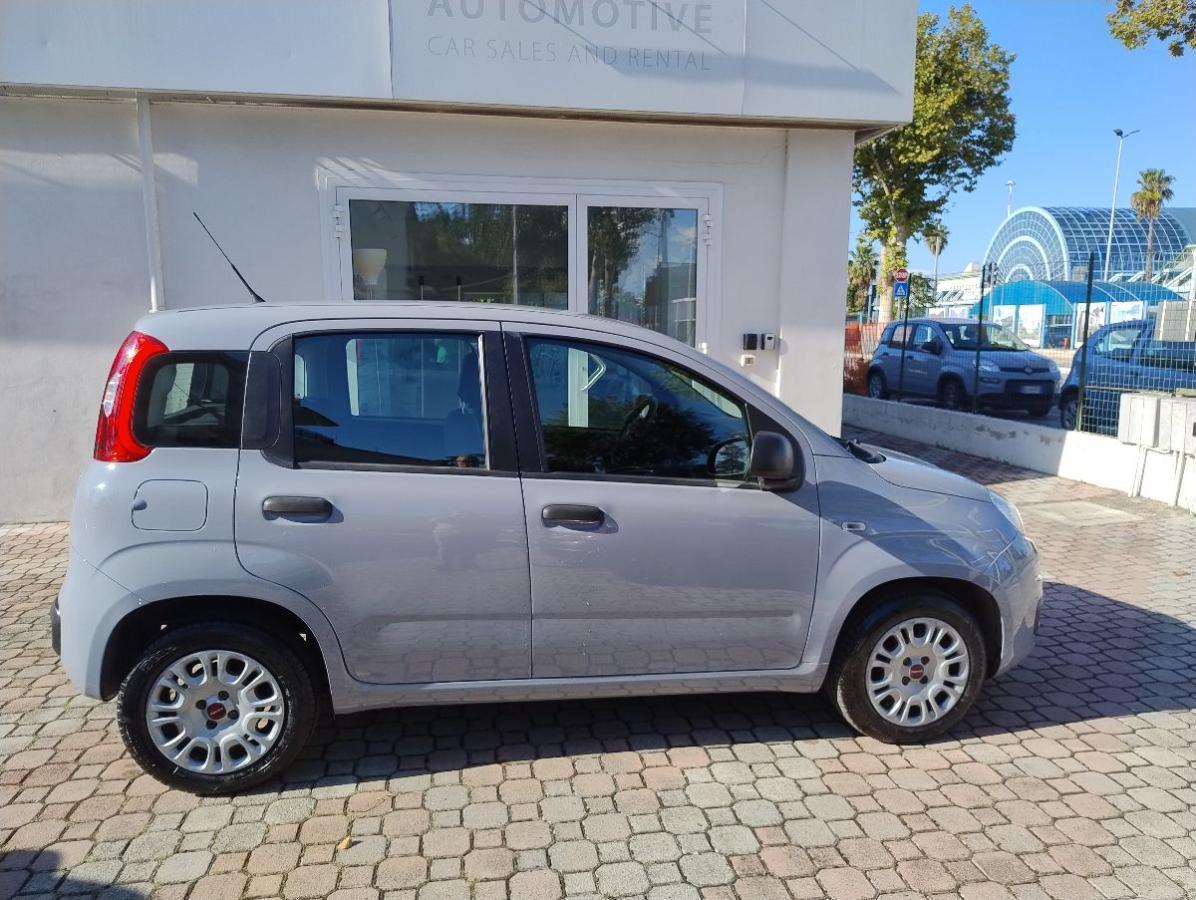 FIAT - Panda - 1.2 Easy