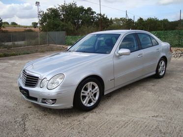 Mercedes- E 220 CDI cat EVO Avantgarde