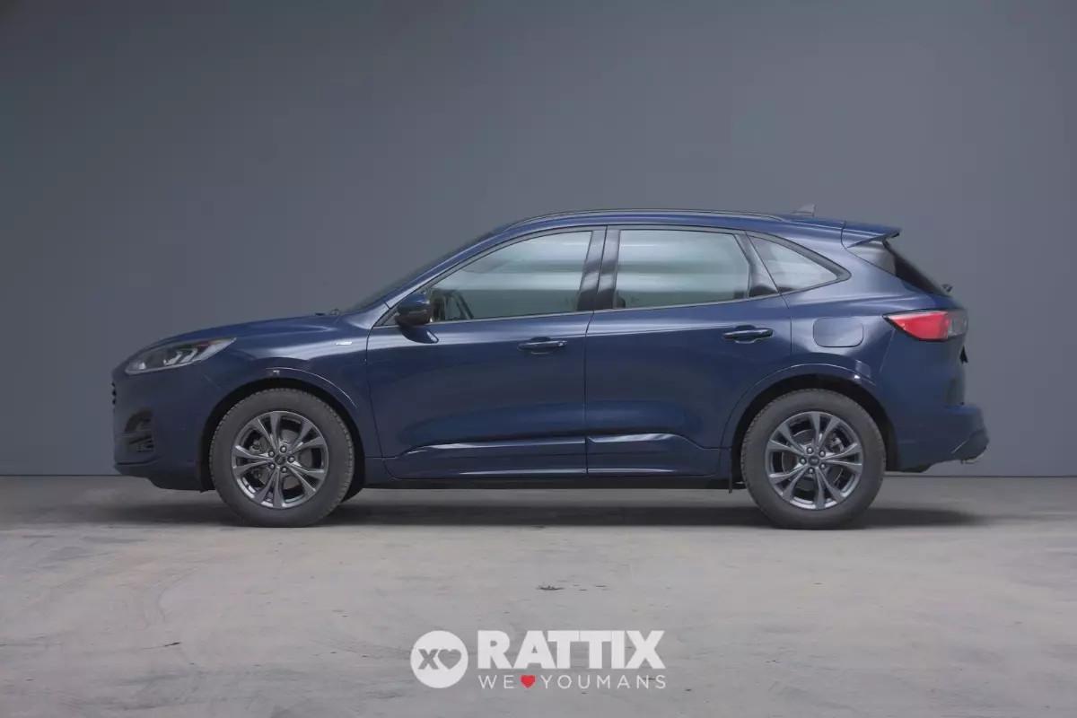 Ford Kuga 2.0 Ecoblue Mhev 150CV ST-Line