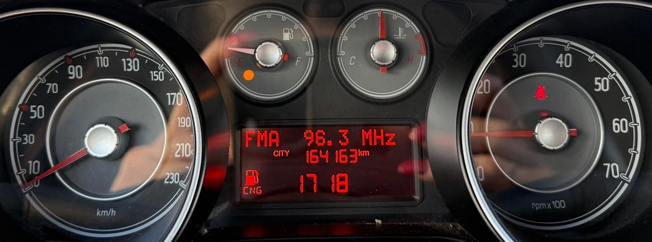 Fiat Punto Evo 1.4 Natural Power 77 Cv