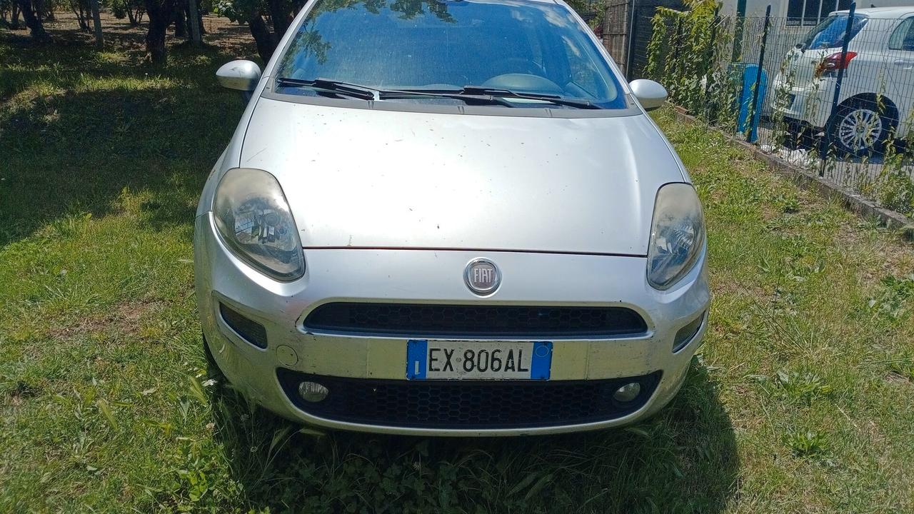 Fiat Punto 1.4 8V 5 porte Natural Power Lounge ( METANO