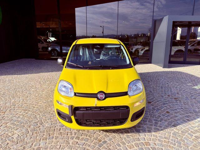 FIAT New Panda ICON - KM 0 10/2025- 5° POSTO - RADIO - SENSORI