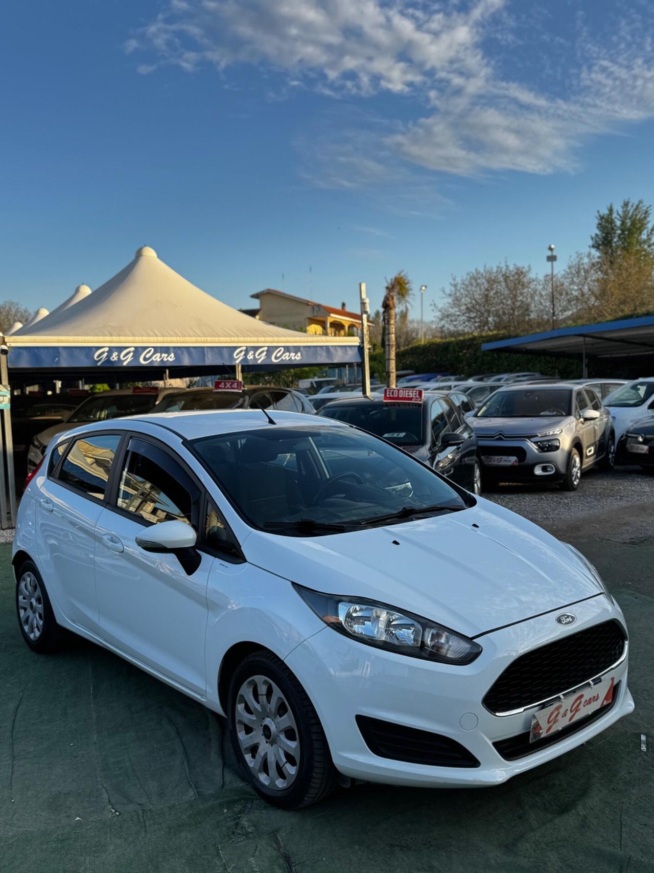 Ford Fiesta 1.5 TDCi 95CV 5 porte Business