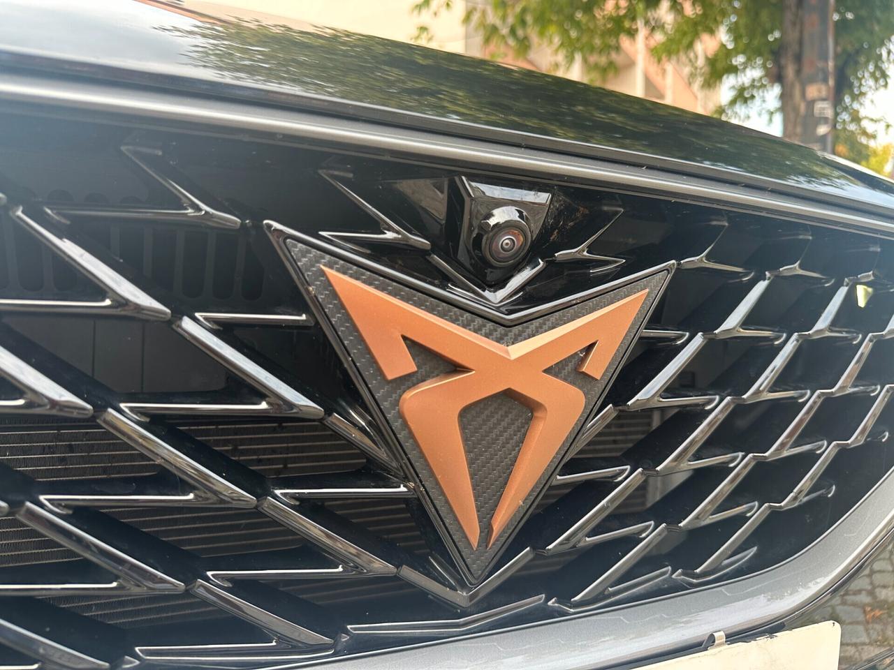 Cupra Formentor 2.0 TDI 4Drive DSG