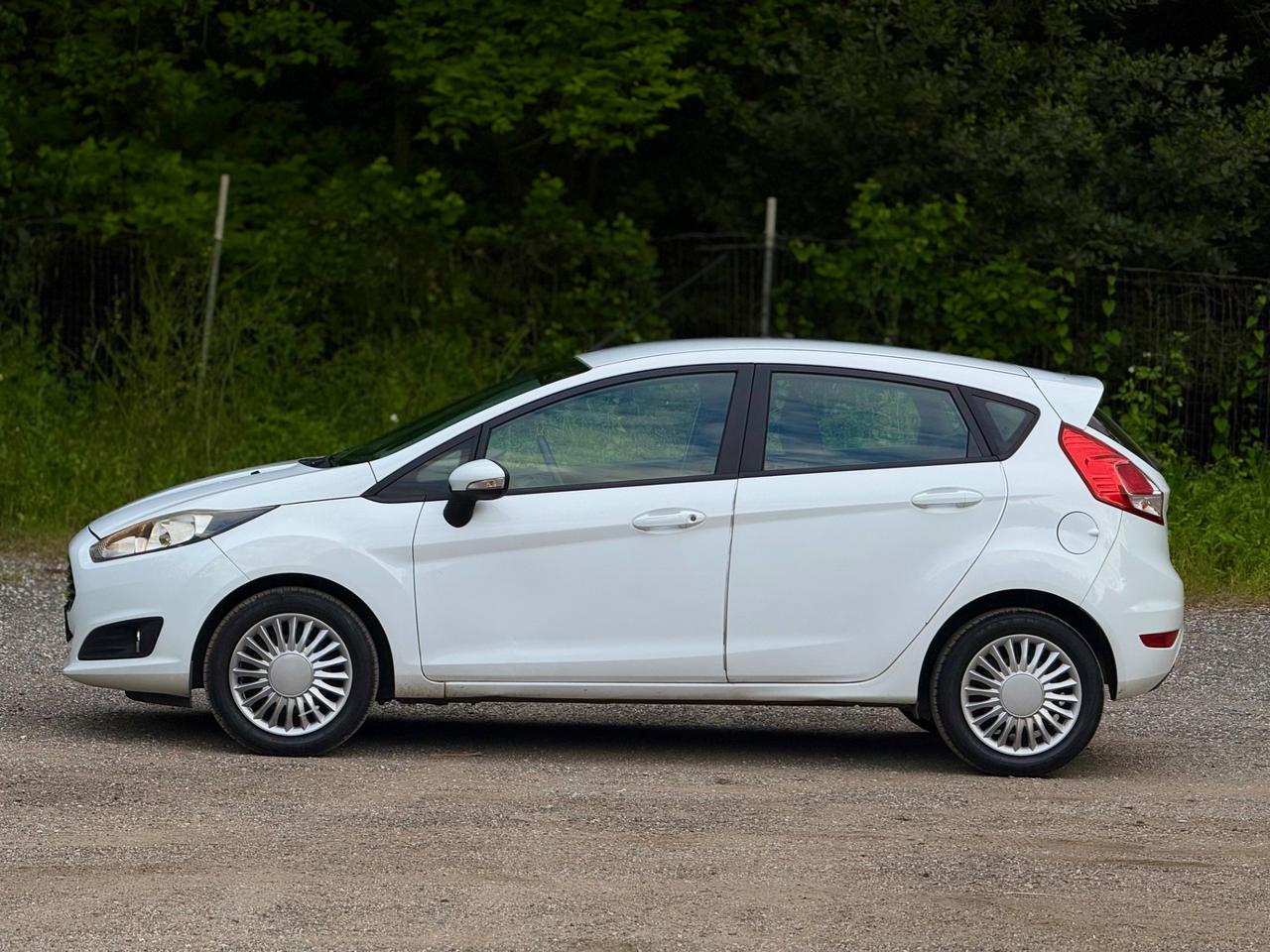 Ford Fiesta 1.4 5 porte Bz.- GPL Black & White Edition