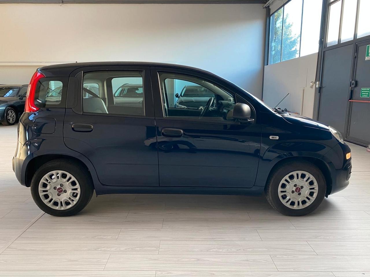 FIAT PANDA 1.0 FIREFLY HYBRID EASY 70CV - NEOPATENTATI