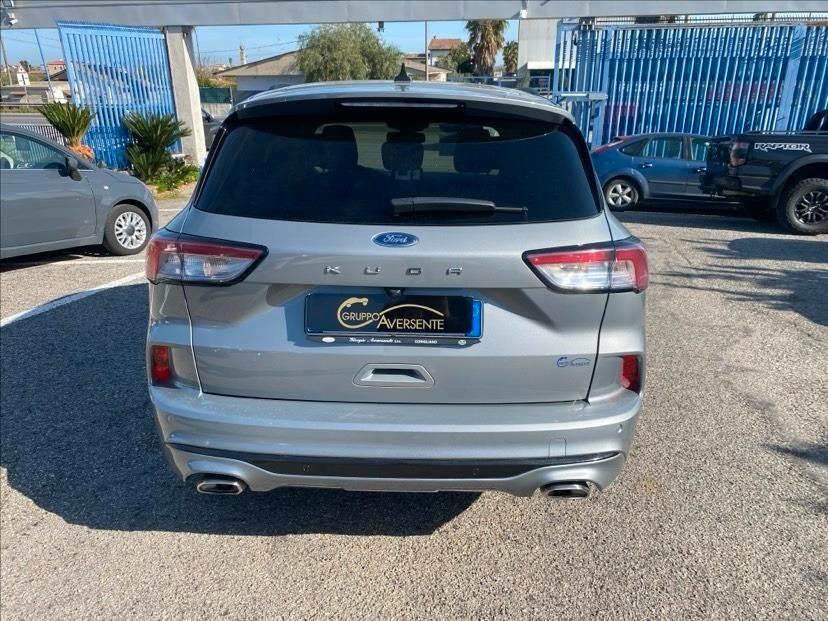 Ford Kuga 1.5 EcoBlue 120 CV 2WD ST-Line
