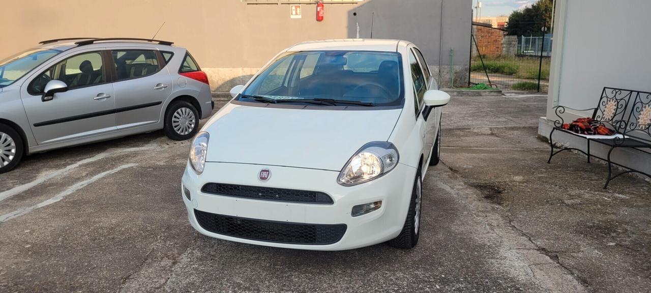 Neopatentata Fiat Punto 1.2 8V 5 porte Street Unico proprietario