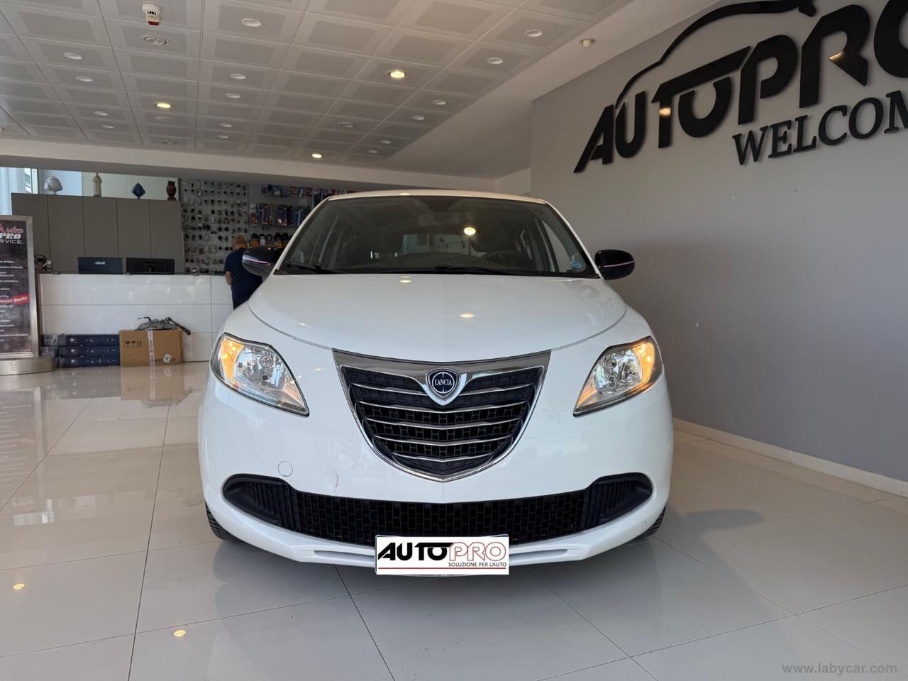 LANCIA Ypsilon 1.2 69 CV 5p. Elefantino