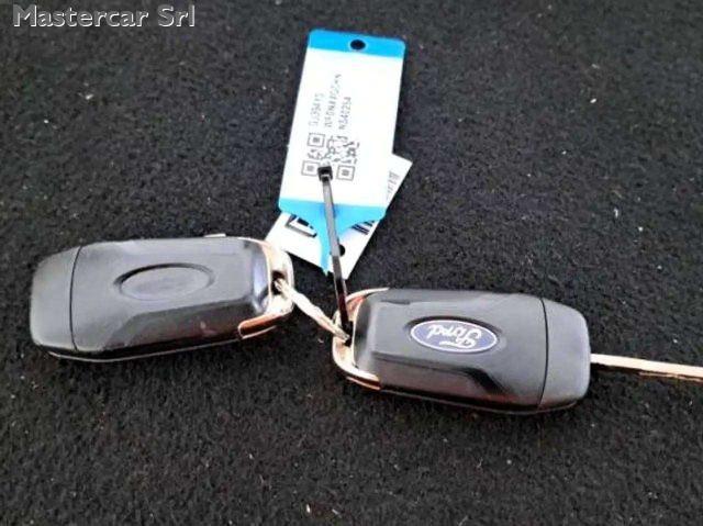 FORD Focus Focus V 2022 1.5 ecoblue Business 120cv Auto Co -P