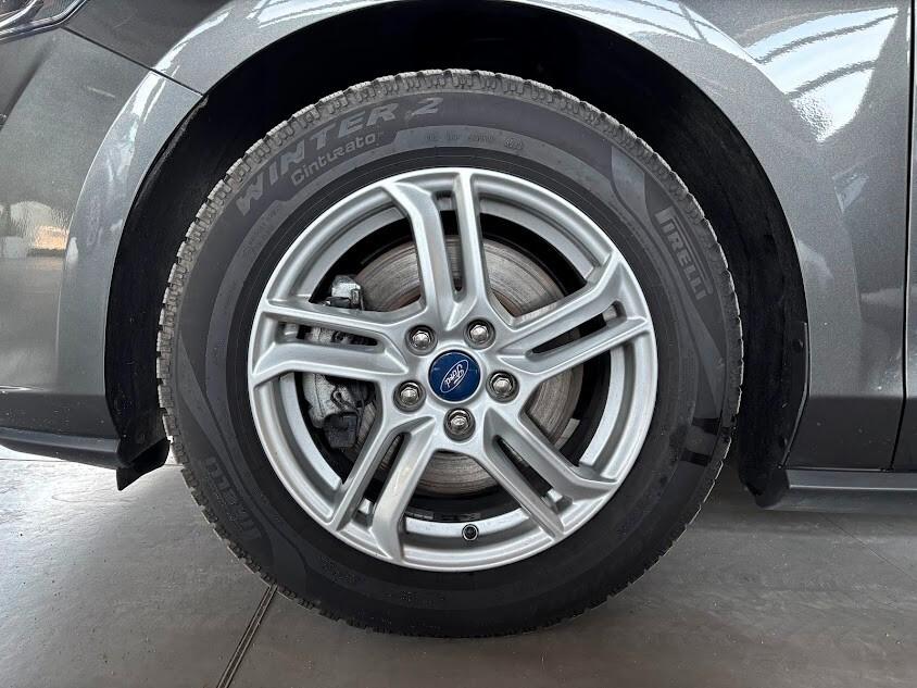 Ford Focus 1.5 EcoBlue 120 CV automatico Co-Pilot