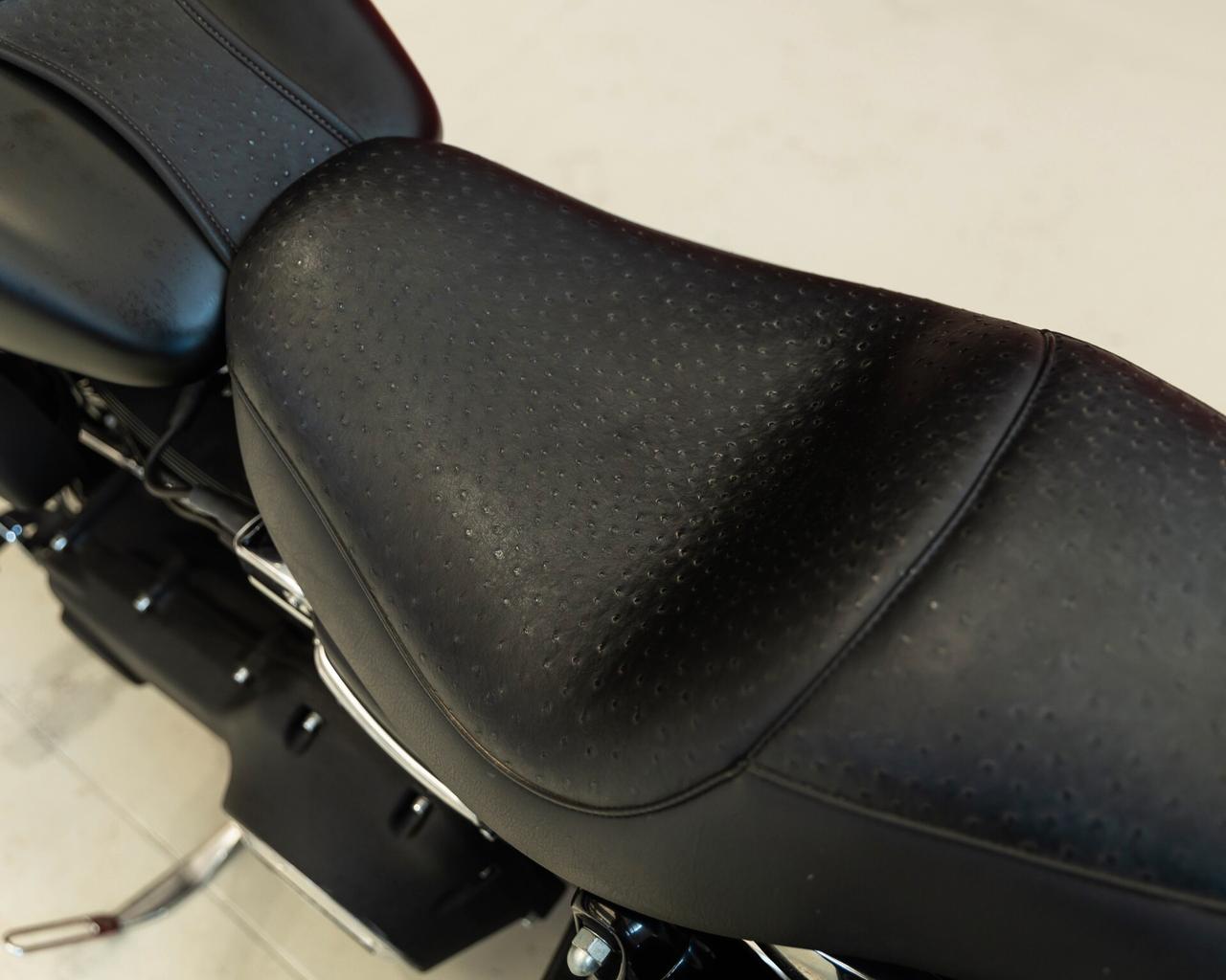 Harley-davidson Dyna "F. Bob"