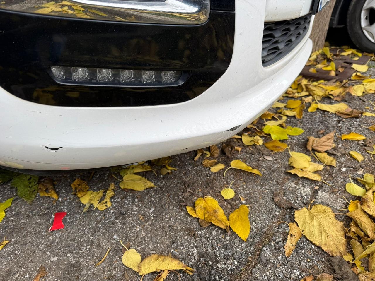 Citroen C3 Picasso 1.6 HDi 90 Seduction