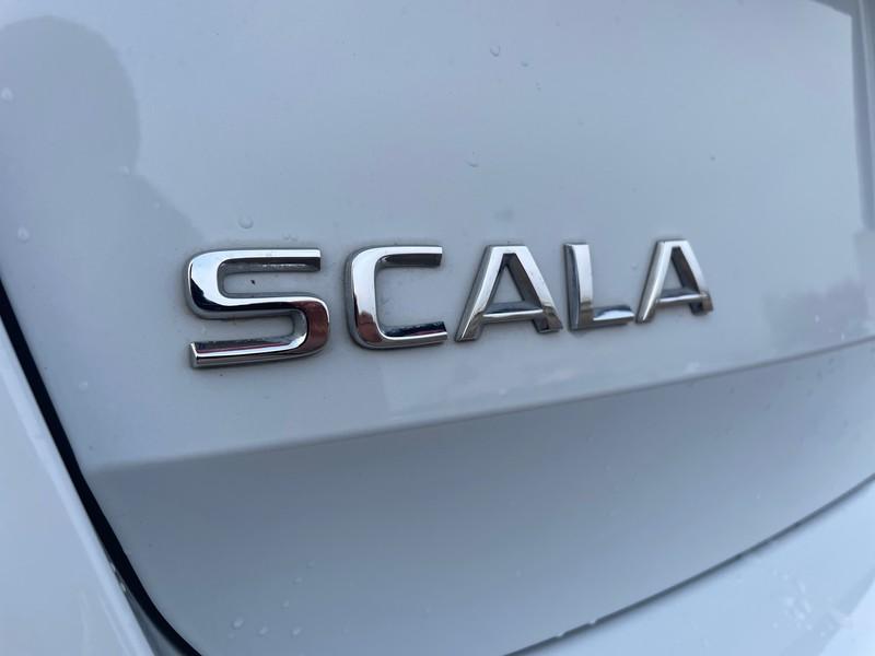 Skoda Scala 1.6 tdi ambition 115cv dsg