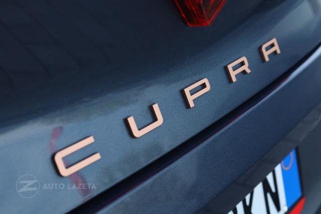 CUPRA Leon 2.0 TDI 150 CV DSG