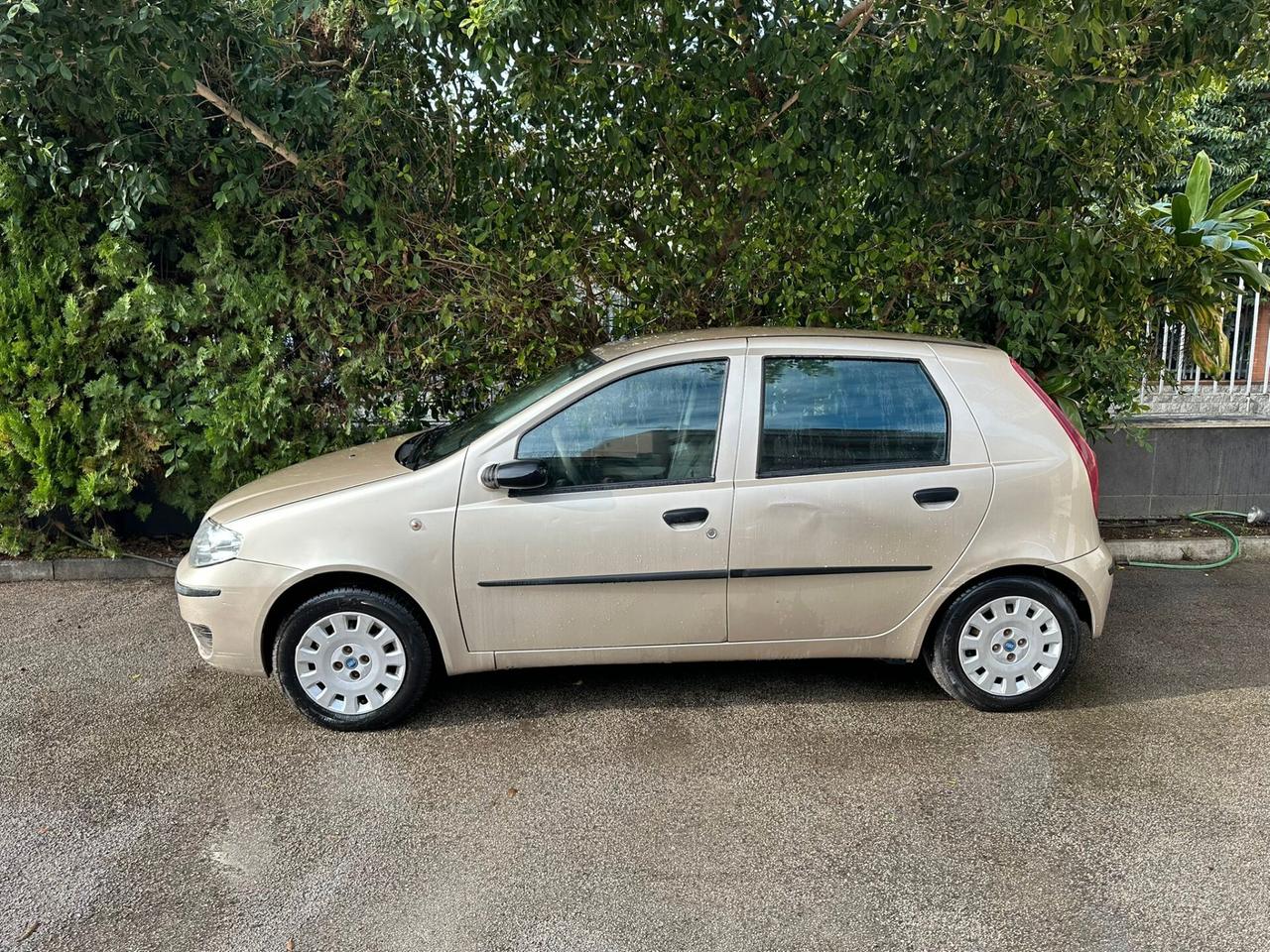 Fiat Punto Classic 1.2 5 porte Natural Power Active