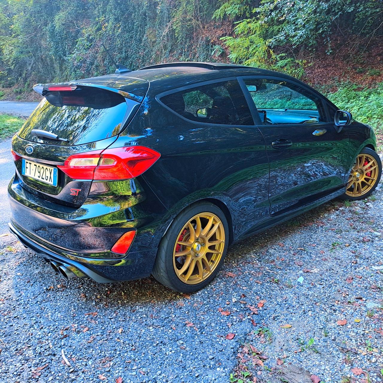 FIESTA ST200cv Performance - Tetto apribile