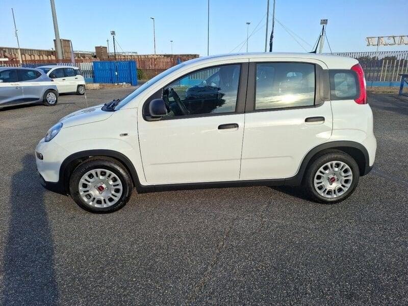 FIAT Panda 1.0 FireFly S&S Hybrid MY 24 Con Pack City Light e Ruotino - KM0 -