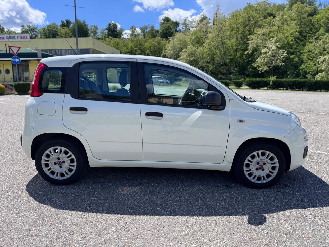 FIAT PANDA 1.2 Easy solo 46000km neopatentati