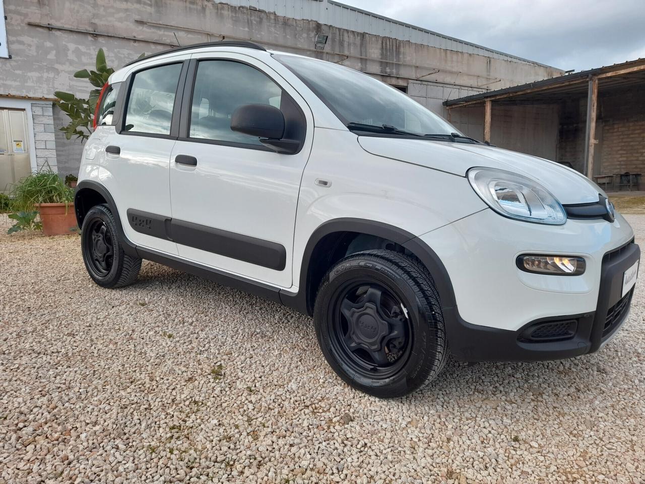 Fiat Panda 0.9 TwinAir Turbo S&S 4x4 anno 2019