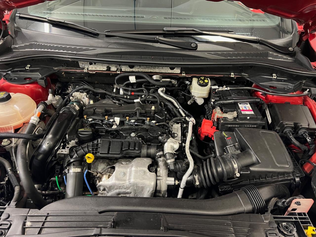 Ford Kuga 1.5 EcoBlue 120 CV 2WD ST-Line