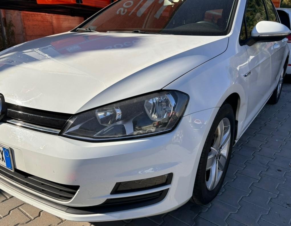 Volkswagen Golf Business 1.4 TGI 5p. Highline BlueMotion