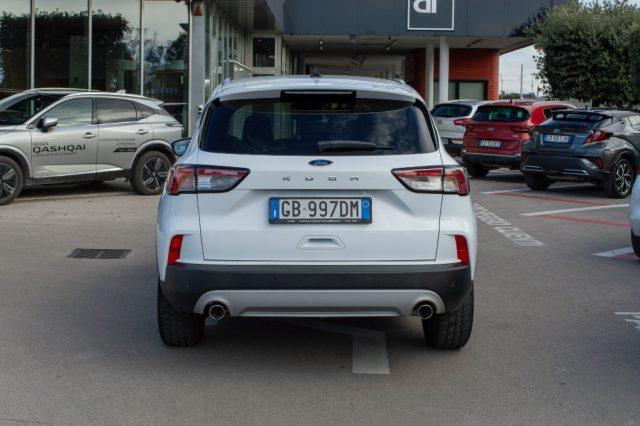 FORD Kuga 1.5 EcoBlue 120 CV 2WD Titanium