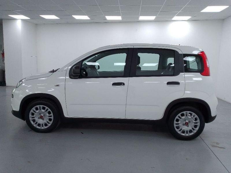 FIAT Panda 1.0 firefly hybrid s&s 70cv 5p.ti