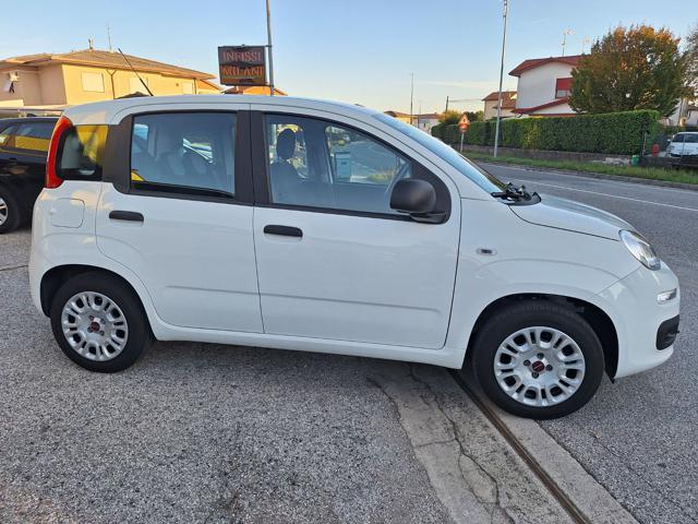 FIAT Panda 1.2 Easy OK X NEOPATENTATI N°FY852