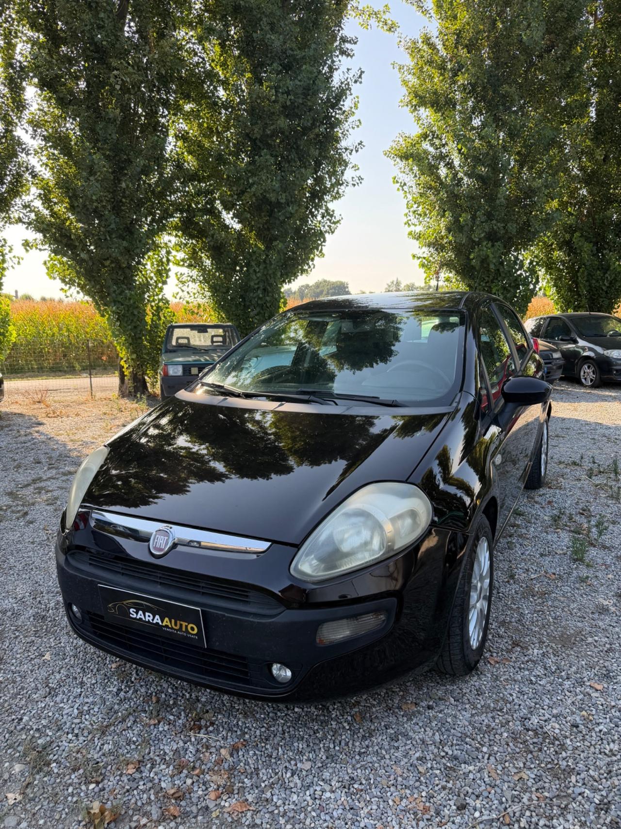 Fiat Punto Evo 1.3 Mjt 95 CV DPF 5 porte S&S Emotion