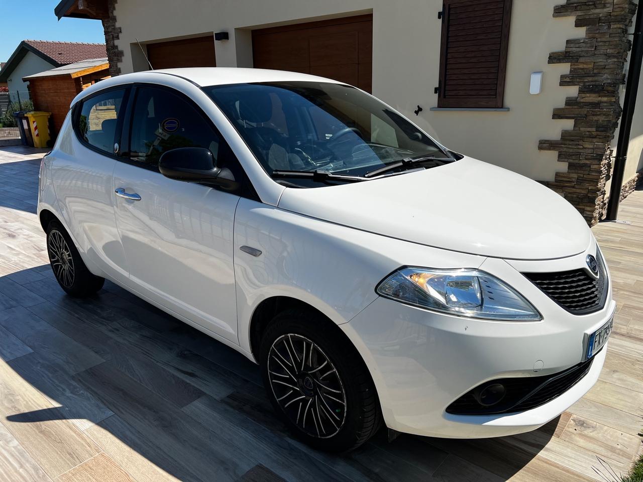 Lancia Ypsilon 1.2 69 CV 5 porte GPL Ecochic Gold CINGHIA APPENA FATTA