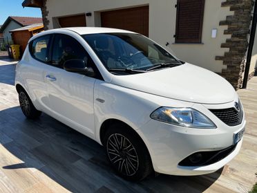 Lancia Ypsilon 1.2 69 CV 5 porte GPL Ecochic Gold CINGHIA APPENA FATTA