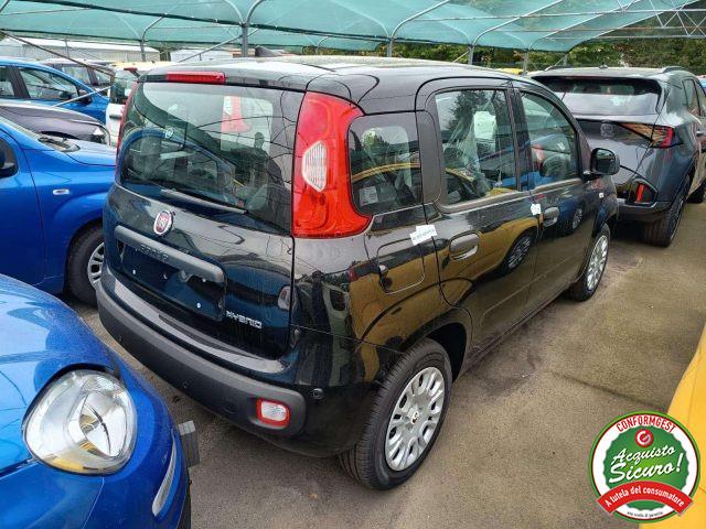 FIAT Panda Pandina 1.0 hybrid PDC/COCKPIT/Cruise PREZZO REALE