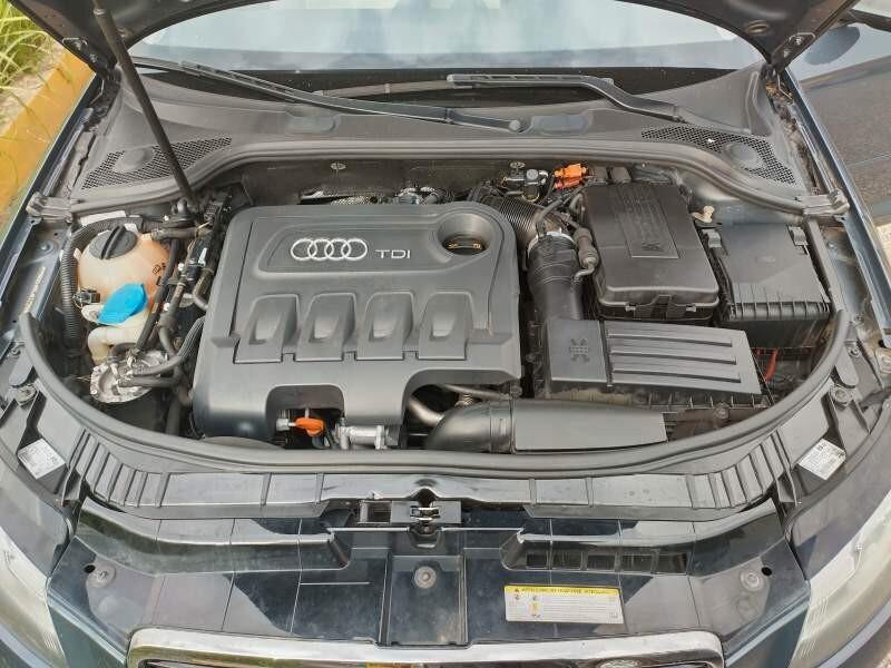 Audi A3 SPB 2.0 TDI F.AP. quattro Ambition