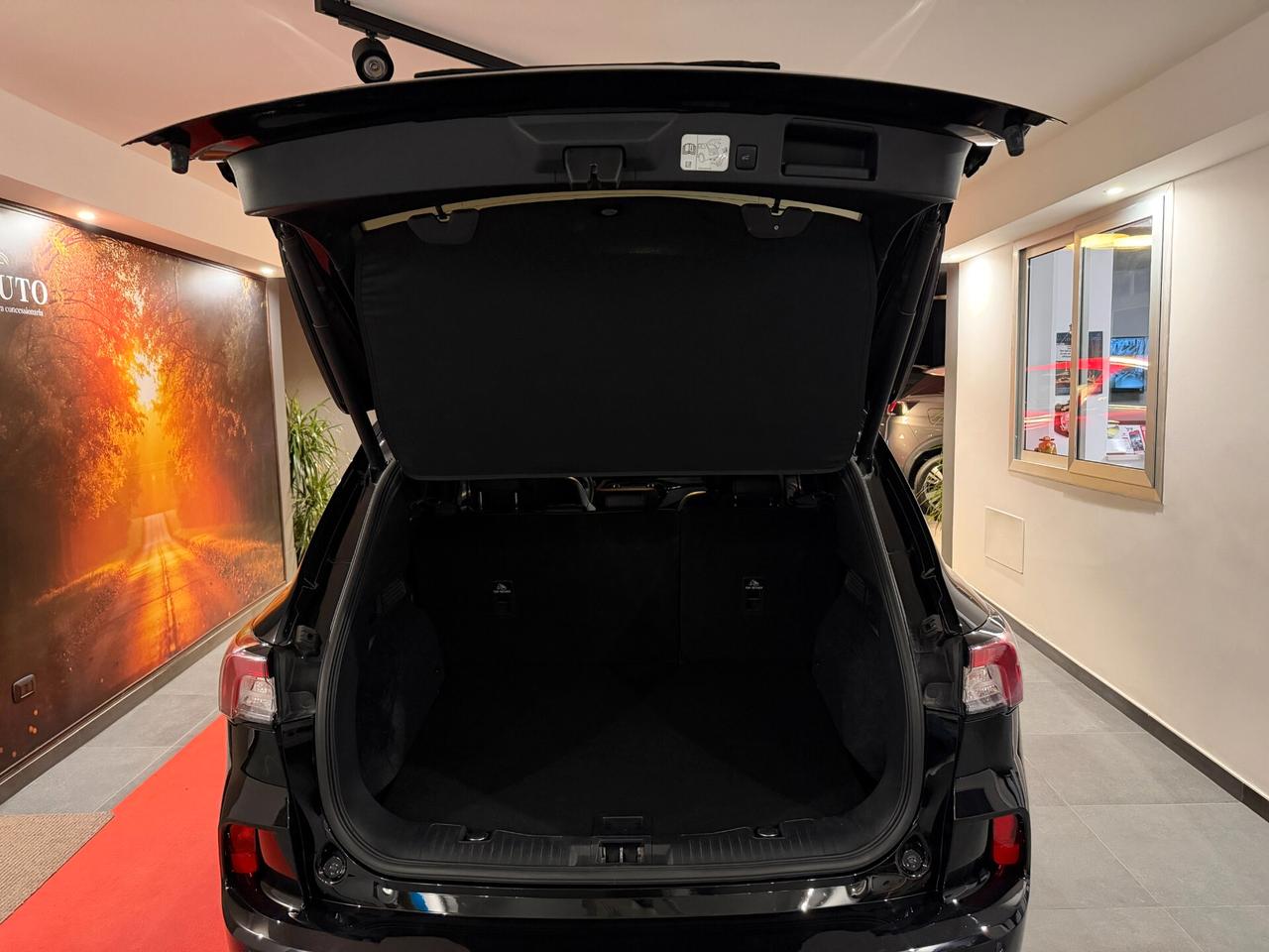 FORD KUGA 2.0 ECOBLUE MHEV 150CV 2WD ST-LINE X 2020