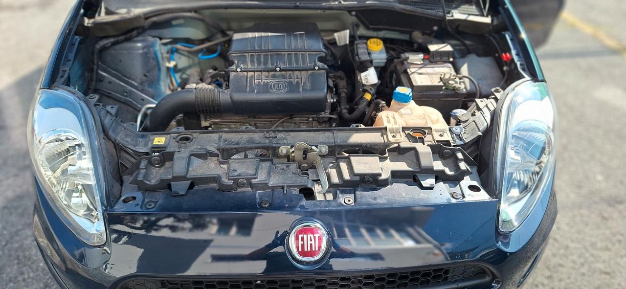 Fiat Punto 1.2 8V 5 porte Street