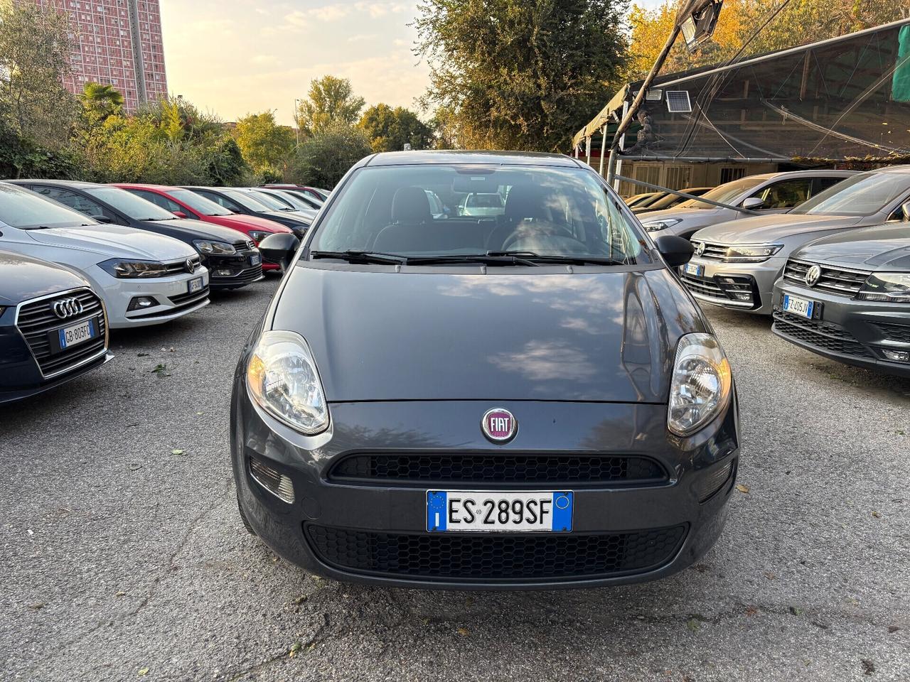 Fiat Punto 1.2 8V 5 porte Lounge OK Neopatentati