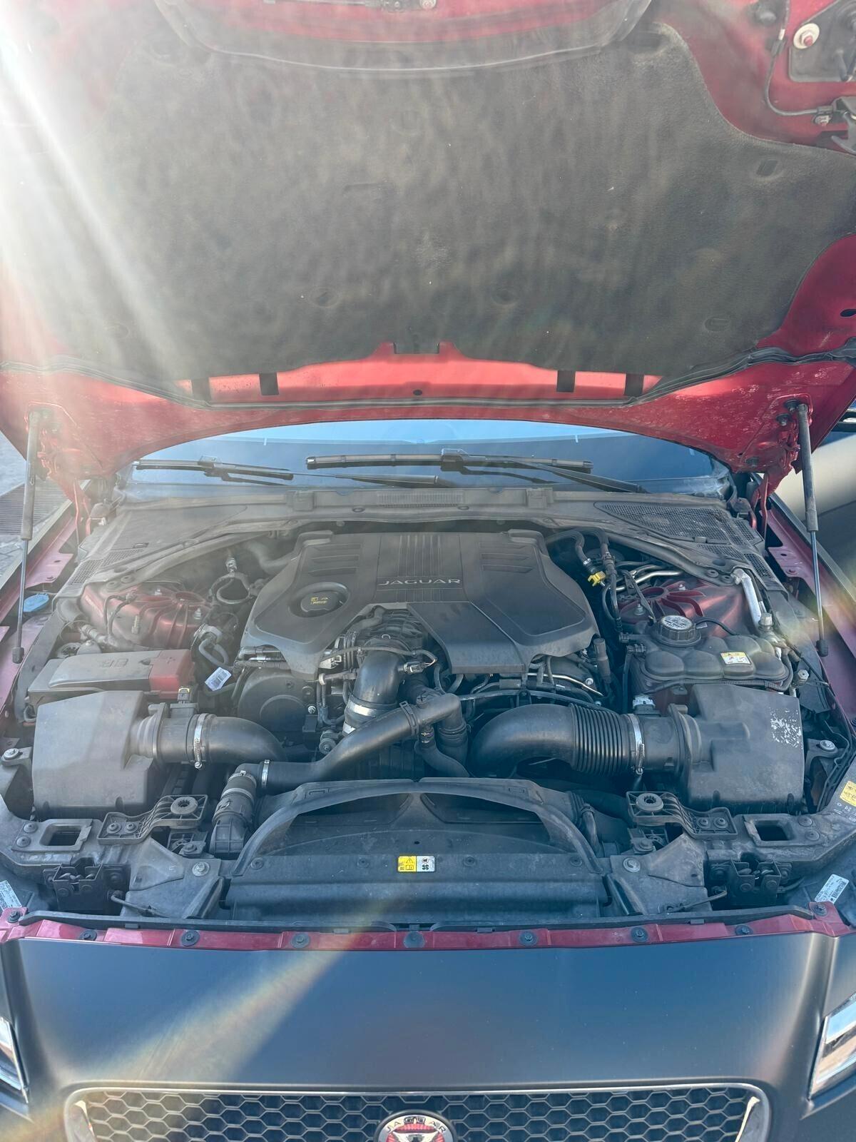 Jaguar XF 3.0 D V6 300 CV AUTOMATICO Prestige