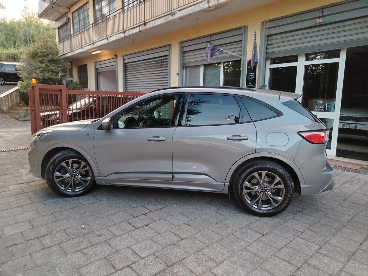 Ford Kuga 1.5 EcoBlue 120 CV aut. 2WD ST-Line